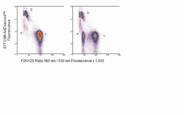 Flow Cytometry dual parameter dot plot  of Jurkat cells stained with Violet Ratiometric Membrane Asymmetry Probe/Dead Cell Apoptosis Kit *for flow cytometry* *100 assays* (A-35137)